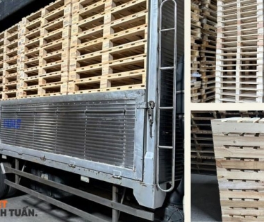 ISPM 15 là gì? Tìm hiểu quy định đóng dấu và xử lý pallet gỗ