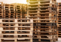 Kinh nghiệm chọn mua pallet gỗ để đệm hàng hóa 
