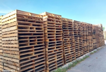 Pallet gỗ giá rẻ tại TP Hồ Chí Minh 