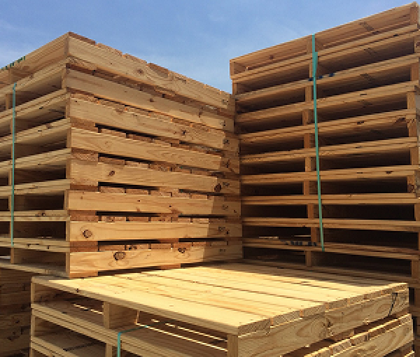 Pallet Gỗ 