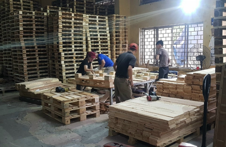 Phương pháp bảo quản pallet gỗ đúng cách ? 